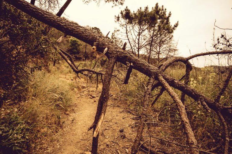 When Obstacles Obscure Your Path, Don’t Give Up! Let God Lead You Through
