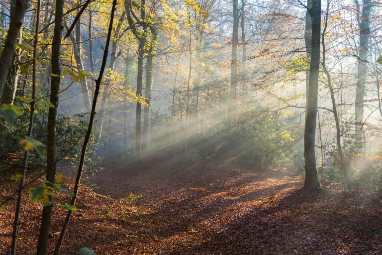 In the Quiet Seasons: Finding Faith When Life Feels Heavy
