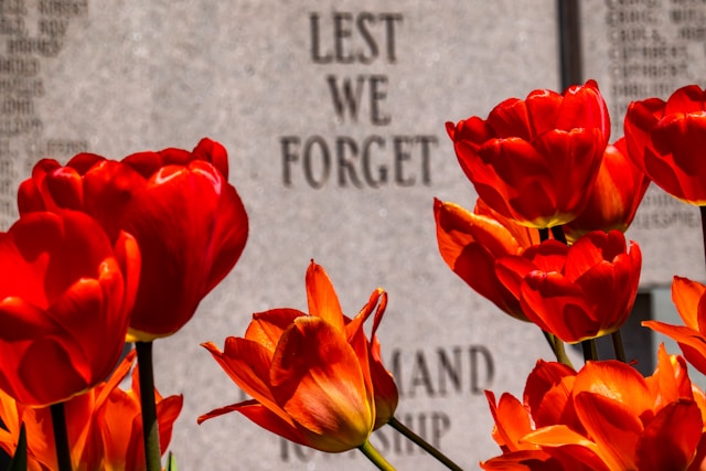 Remembrance Day 2024 